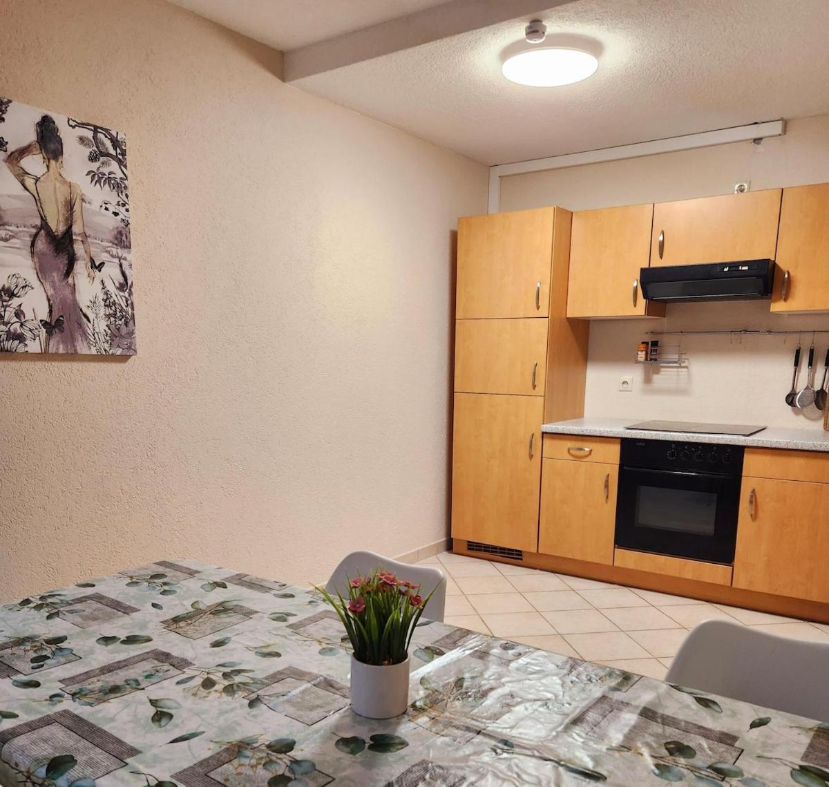 Sj Apartment Chemnitz Zewnętrze zdjęcie